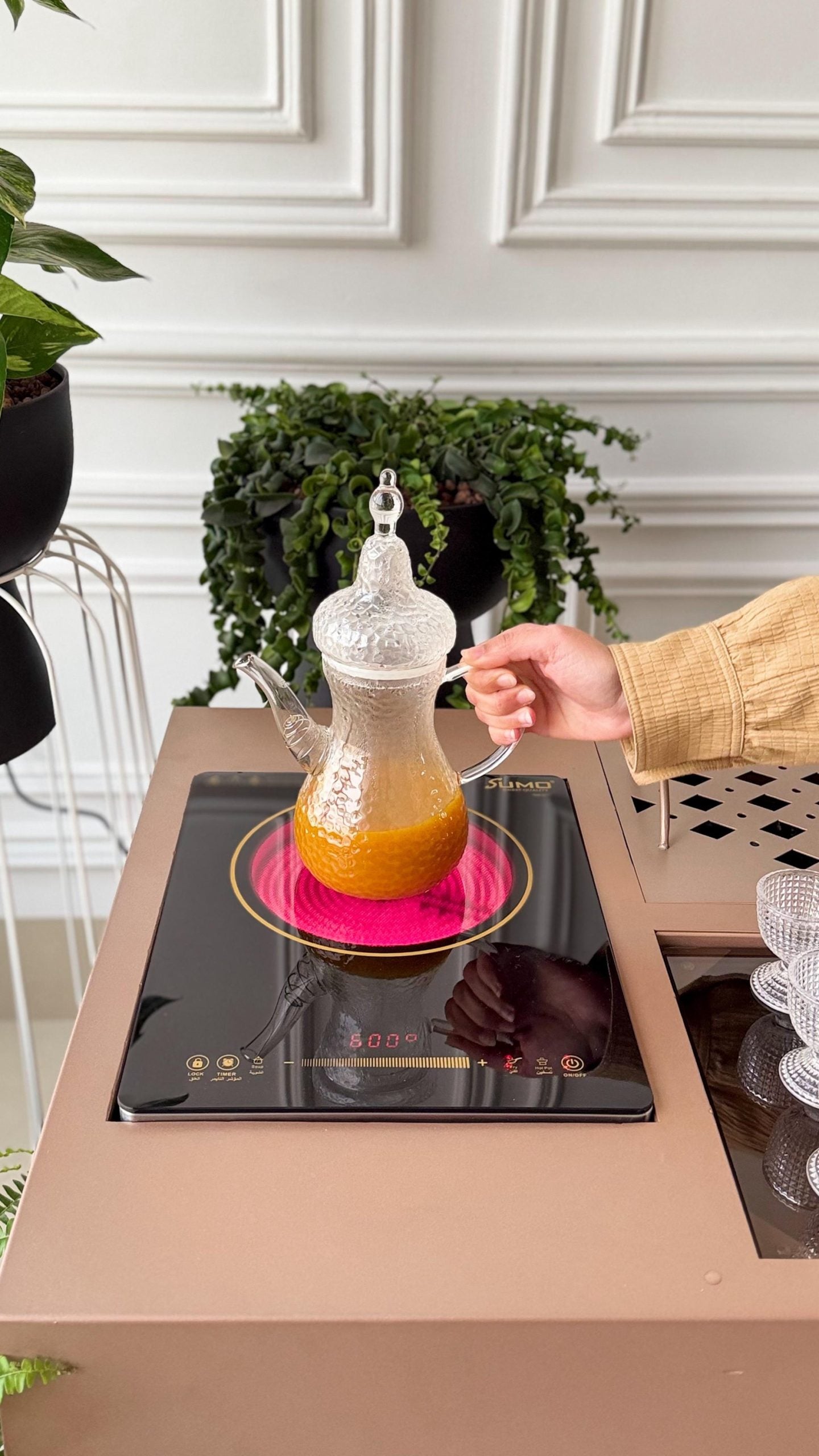 ترولي الدوة برو ماكس (3 في 1) – 5 ألوان | Mister Homes